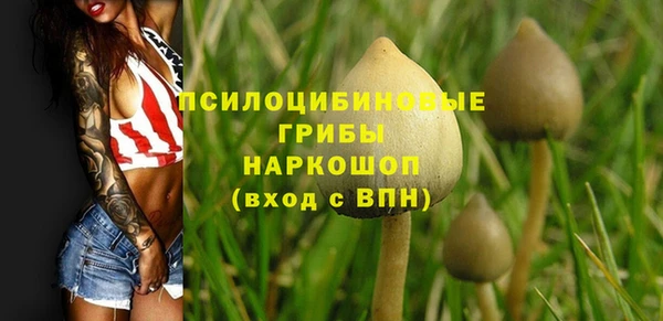 ECSTASY Беломорск